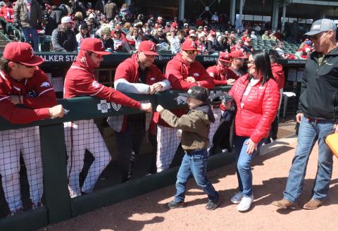 Arkansas Razorbacks baseball
