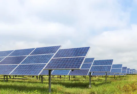 solar garden